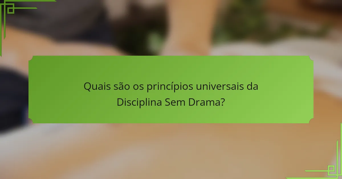 Quais são os princípios universais da Disciplina Sem Drama?